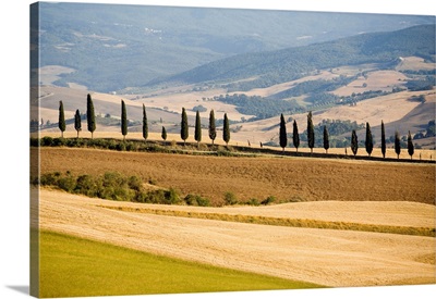Rolling Tuscan Countryside