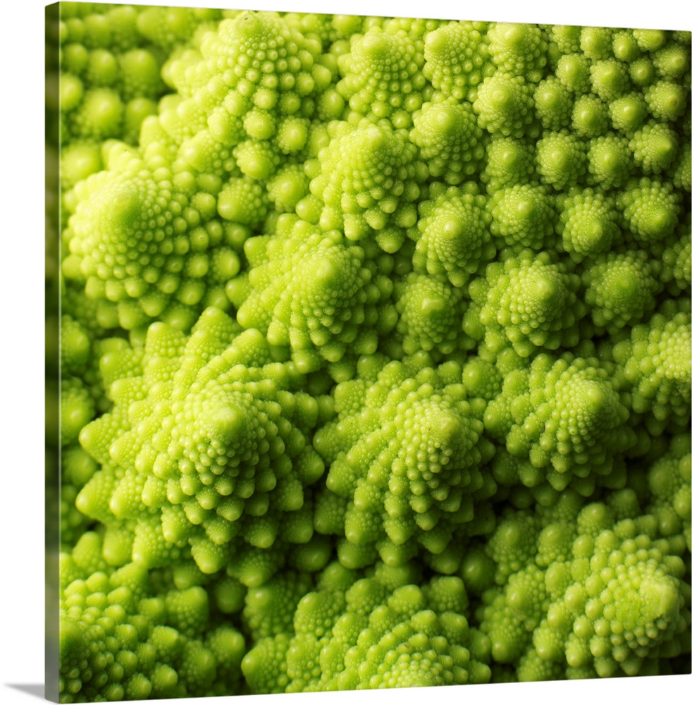 Romanesco broccoli, (full frame)