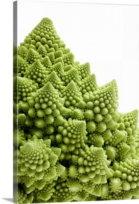 Romanesco Broccoli against white background