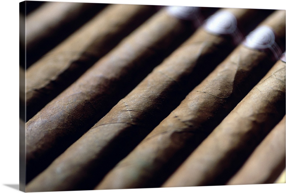 Row of cigars