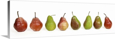 Row of Pears