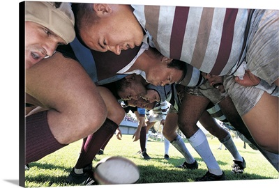 Rugby Union Players in a Scrum