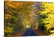 image thumbnail of Photograph of paved road trailing into colorful bright fall forest.