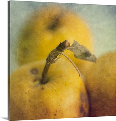 Rustic photograph of golden apples