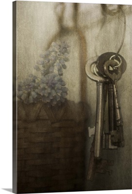 Rustic skeleton keys hanging on wall