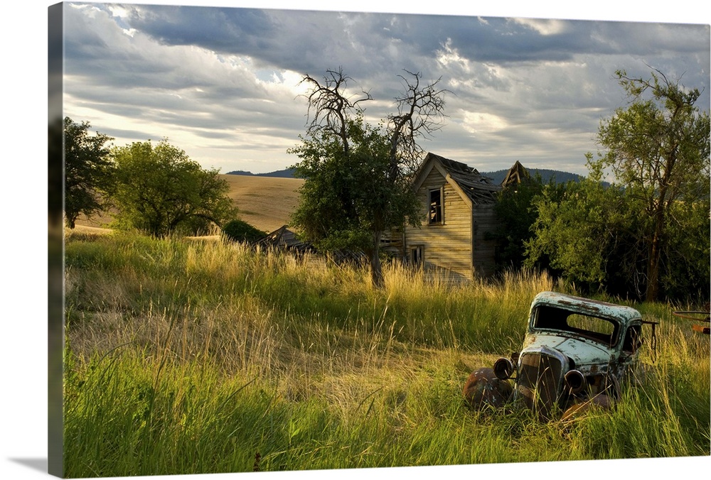 Rustic truck in wheat field wth barn