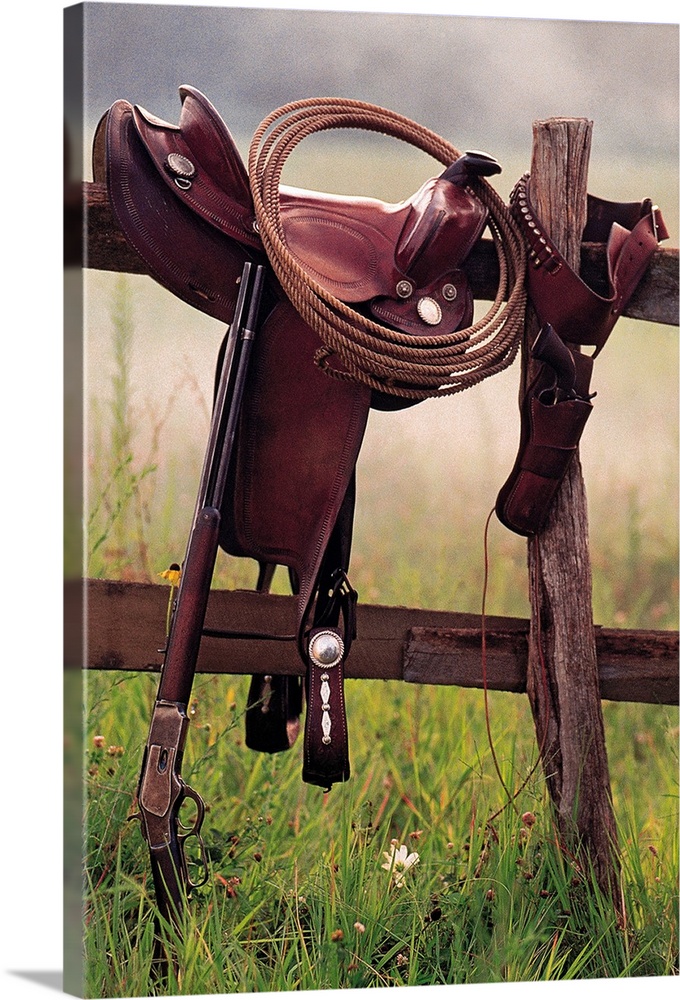 Saddle and lasso on fence