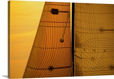 Sail In The Sunset