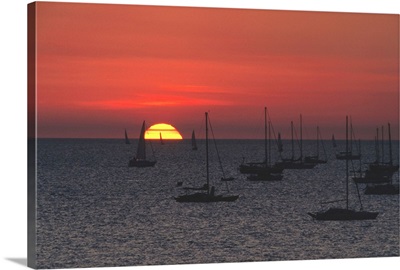 Sailing yachts at sunset