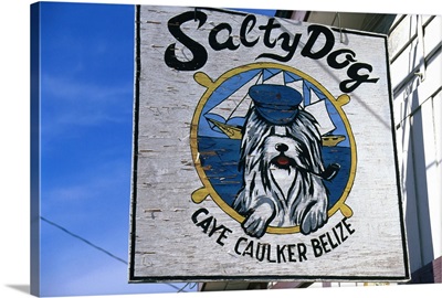 Salty Dog, a street sign along Caye Caulker's Front Street