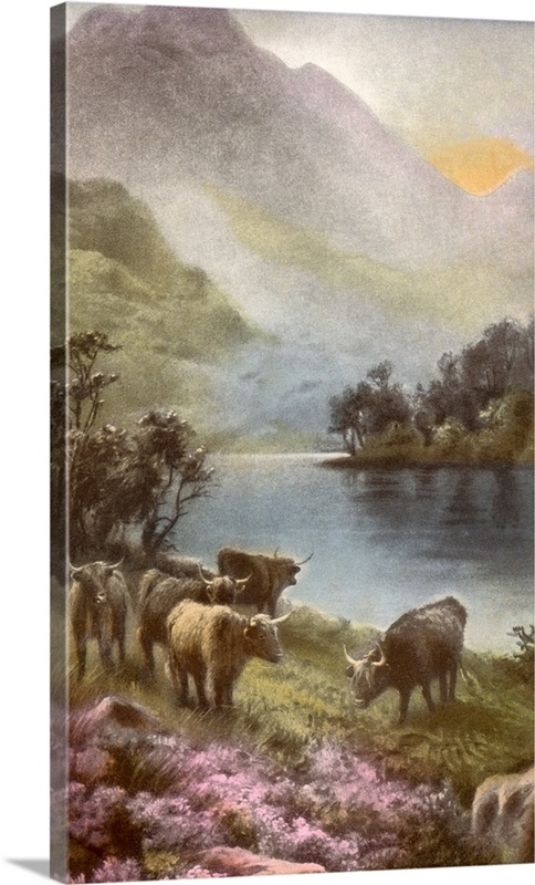 Scene Of Countryside In Scotland | Great Big Canvas