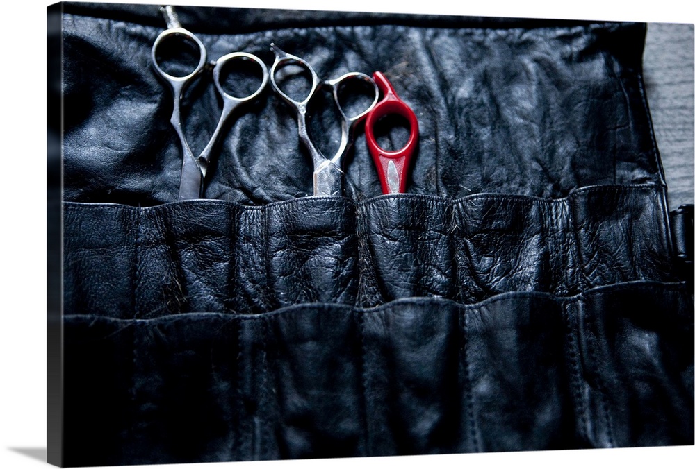 Scissors in grooming case