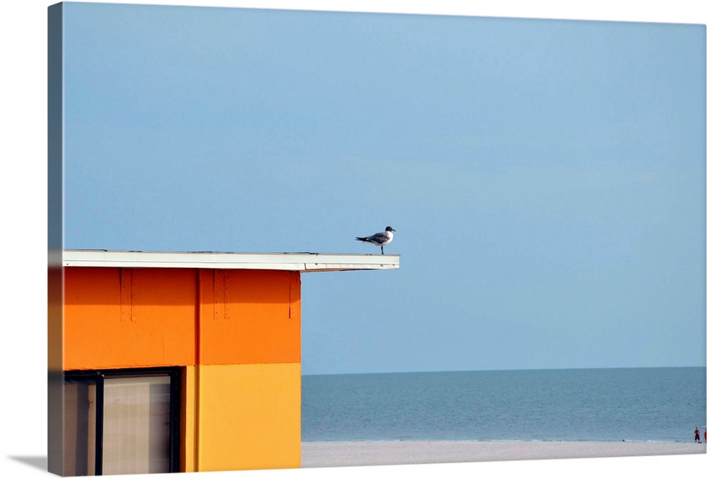 Seagull on house roof against sky on beach in Treasure Island, Florida.