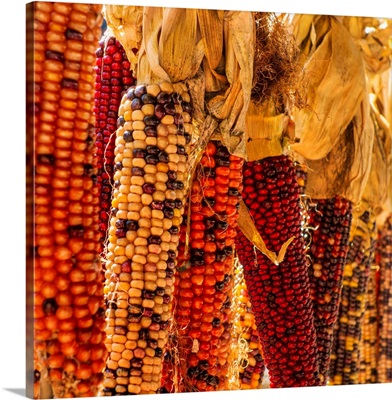 Seasonal indian corn