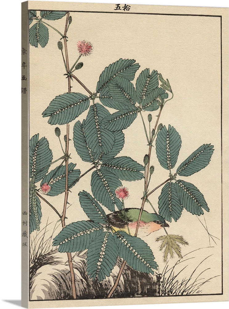 A woodblock print from the 1891 edition of Keinen Kacho Gafu, a four volume set of bird and flower pictures known as kacho...