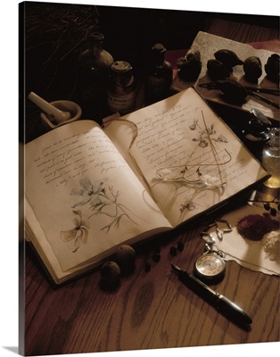Several small items from a journal with sketches to herbs lay on a wood table