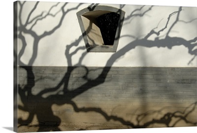 Shadow of a tree on a wall build in traditional style