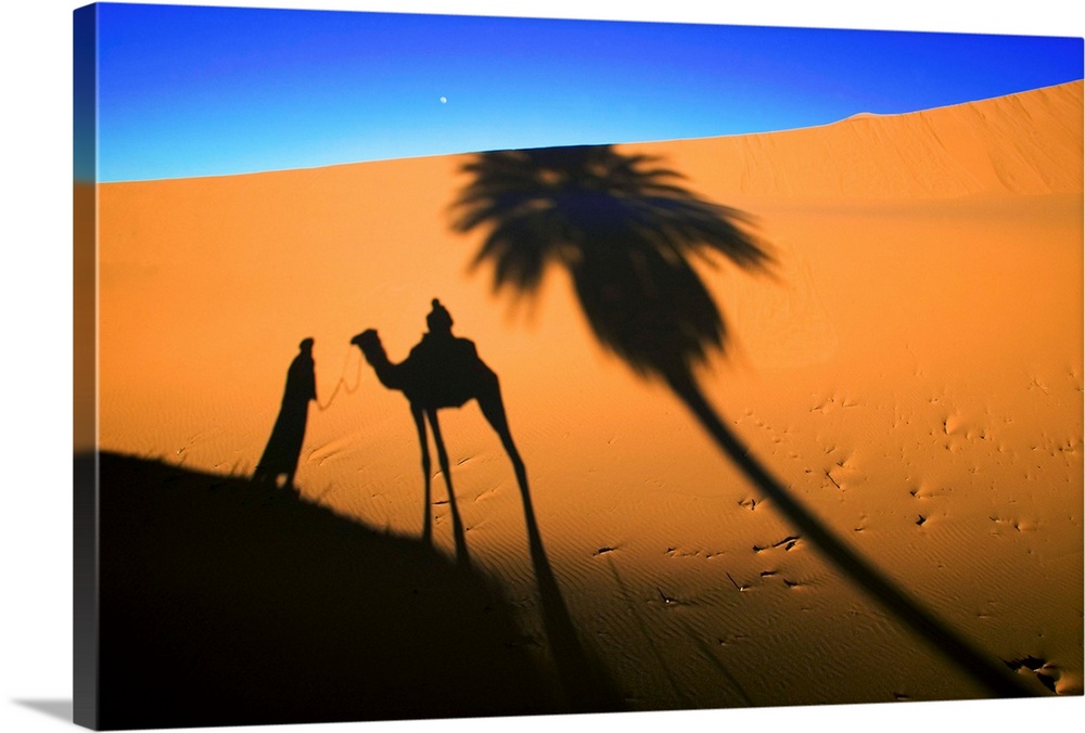 Shadows cast by a tourist camel trek in the sand dunes of Erg Chebbi area of the Sahara desert.