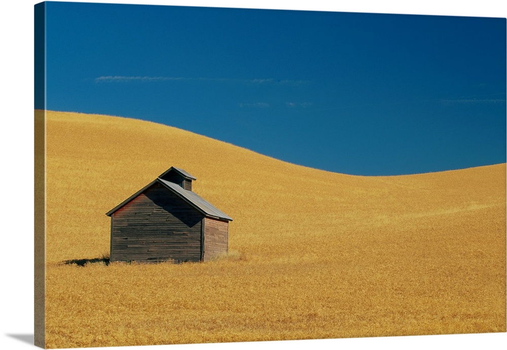 Shed In A Wheat Field