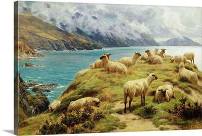 Sheep Reposing, Dal