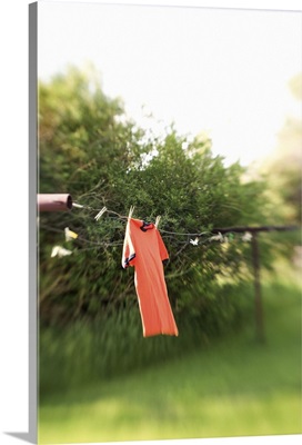 Shirt hanging on clothesline