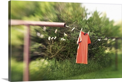Shirt hanging on clothesline