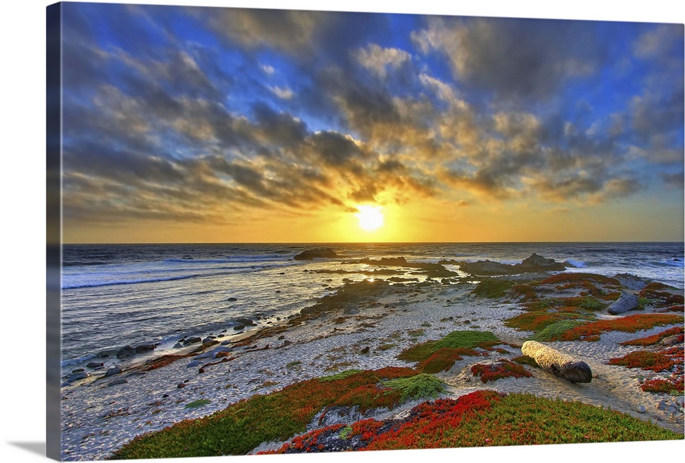 Sunsets along west shore of Pacific Grove, CA.