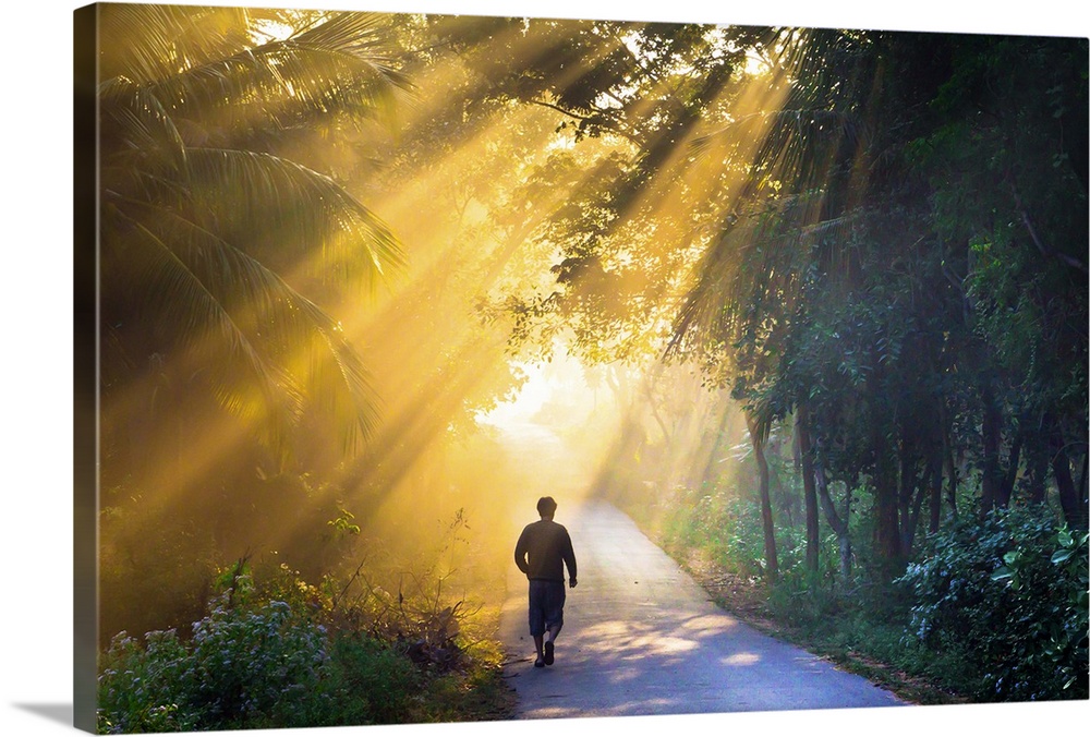 Person walking on road at beautiful foggy morning and bursting sun rays are poetic.