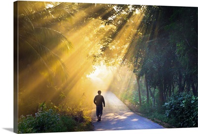 Showering rays