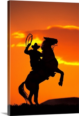Silhouette of cowboy on horse rearing up