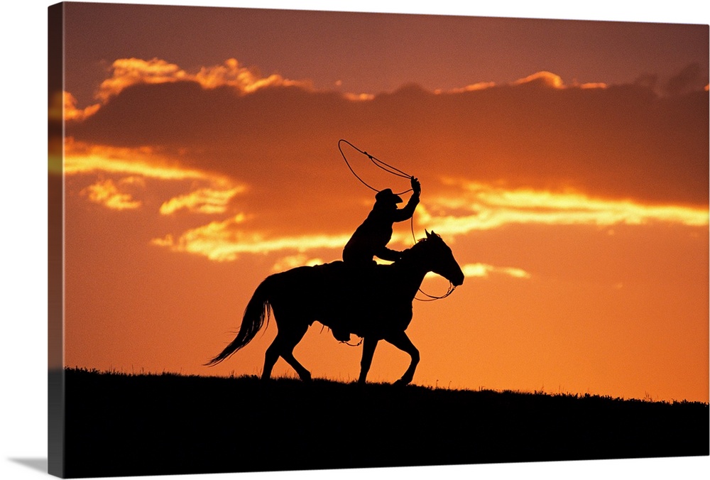 The sunset sky silhouettes a cowboy on his horse as he swings his rope above his head.