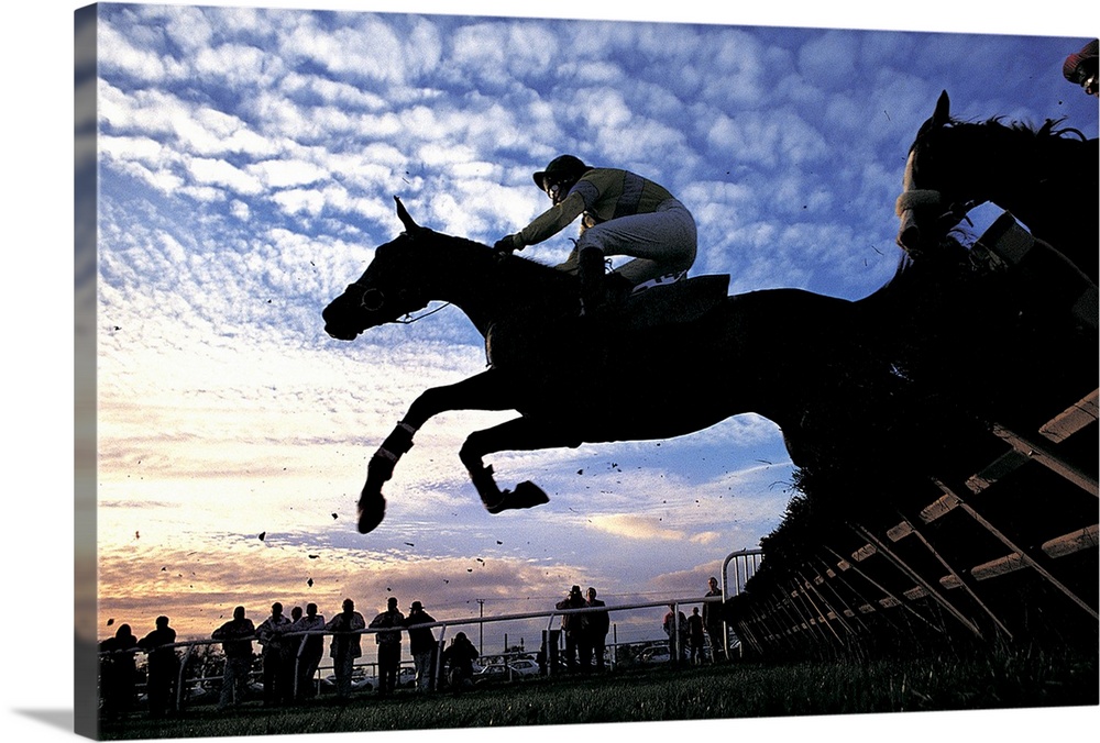 Silhouette of Horses Jumping a Steeplechase