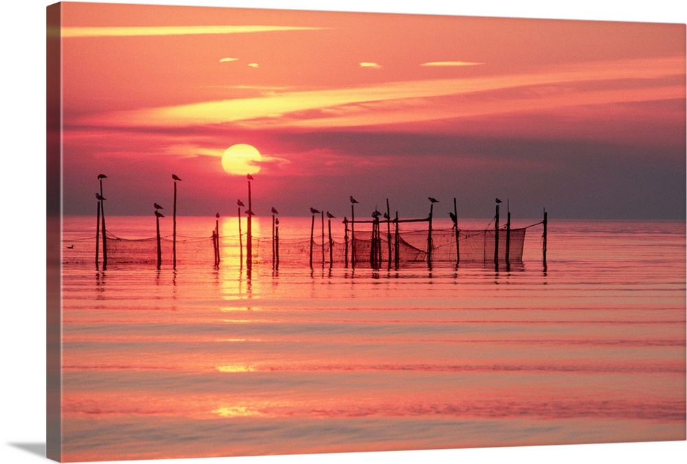 Silhouettes of birds perched on fishing net stakes against a glowing sky at sunset that reflects off the water of Chesapea...