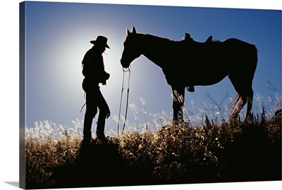 Silhouettes Of Cowboy And Horse