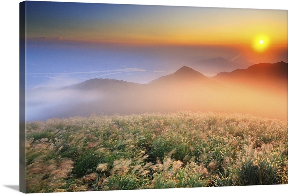 Silver grass blossoms with Mt.Datun, in background at ...