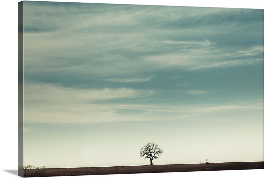 Single lonely tree on the horizon of farmland field against calm sky.