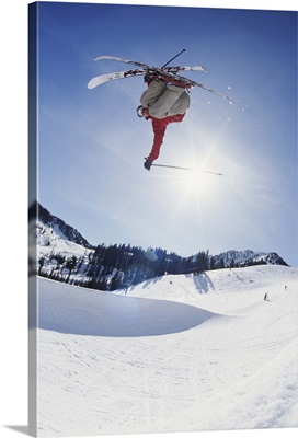 Skier jumping mogul