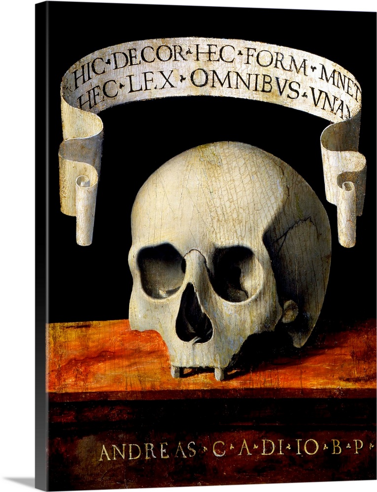 Andrea Previtali (Italian, 1470-1528), Skull of a Man - Memento Mori, c. 1500, oil on panel, Museo Poldi Pezzoli, Milan, I...