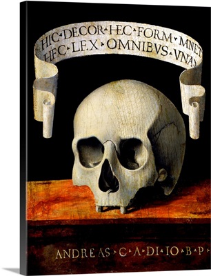 Skull Of A Man - Memento Mori By Andrea Previtali