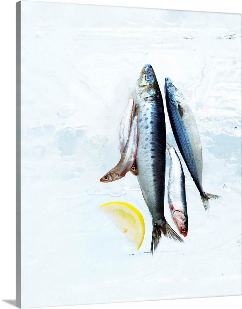 Small Fish on Block of Ice with Lemon Slice Wall Art Canvas