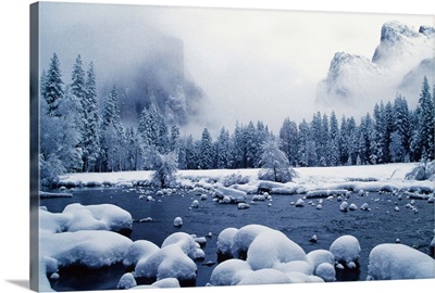 Snow covered mountain peaks and trees, Yosemite National Park