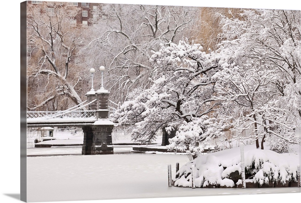 Snow Covered Trees With A Footbridge In A Public Park, Boston, Massachusetts