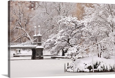 Snow Covered Trees With A Footbridge In A Public Park, Boston, Massachusetts