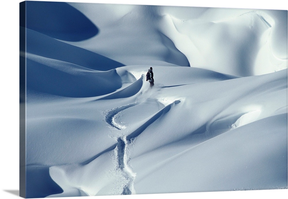 Snowboarder Riding In Powder Snow, Austria