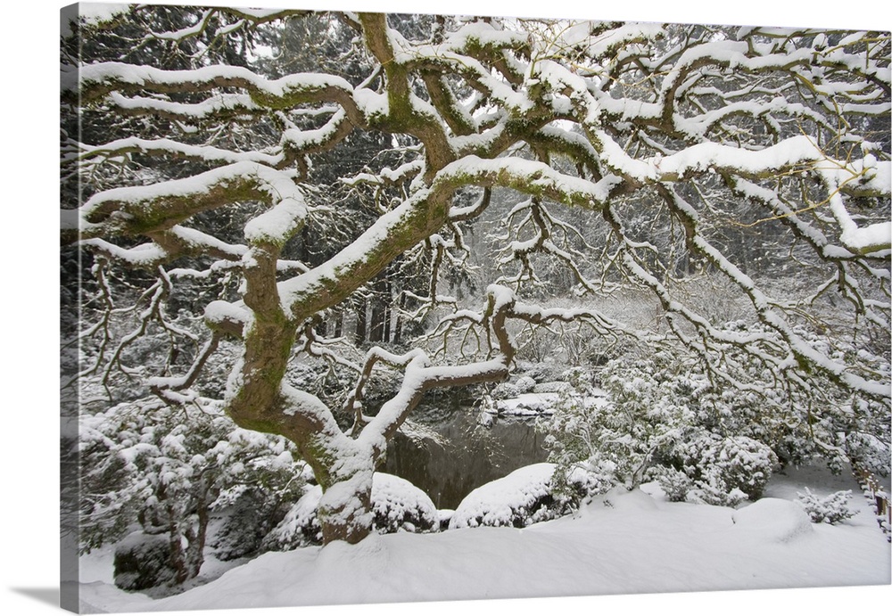 The Portland Japanese Garden is a traditional Japanese garden occupying 5.5 acres, located within Washington Park in the w...