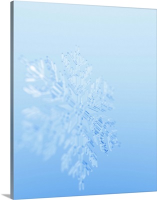 Snowflake (Digital)