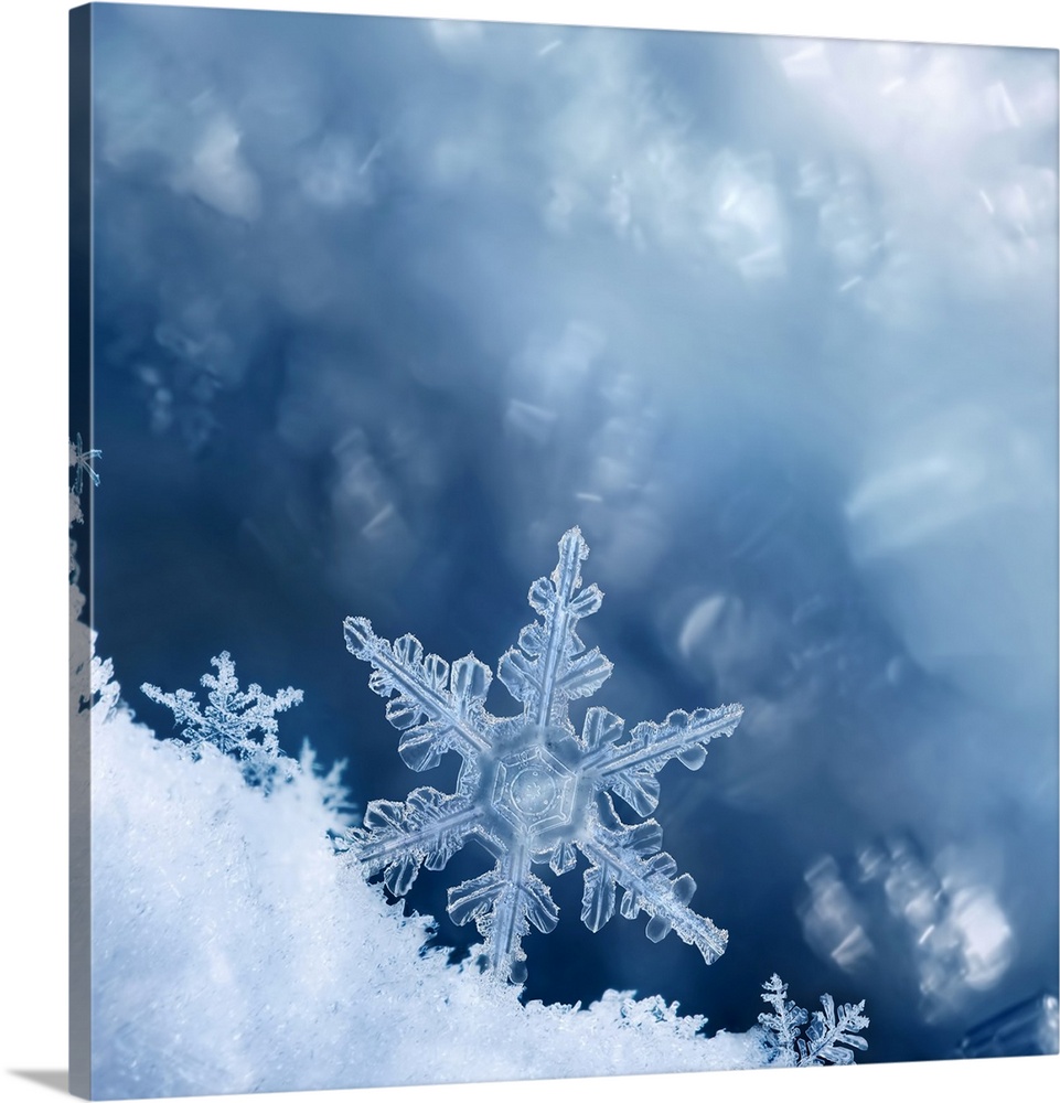 Digital composite of snowflakes and frost.