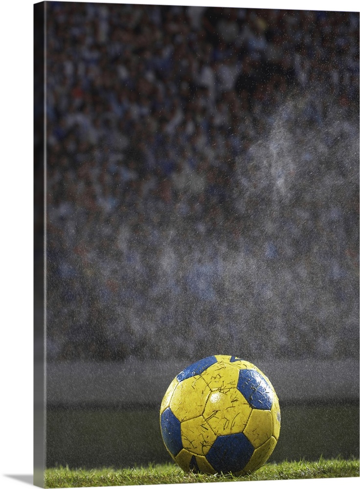 A soccer ball that is covered with wet grass is photographed sitting on a field with the crowd out of focus behind it.