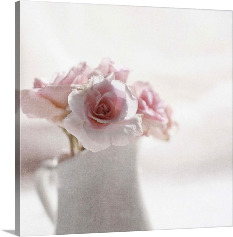 Soft pink roses in white jug.Softly textured.