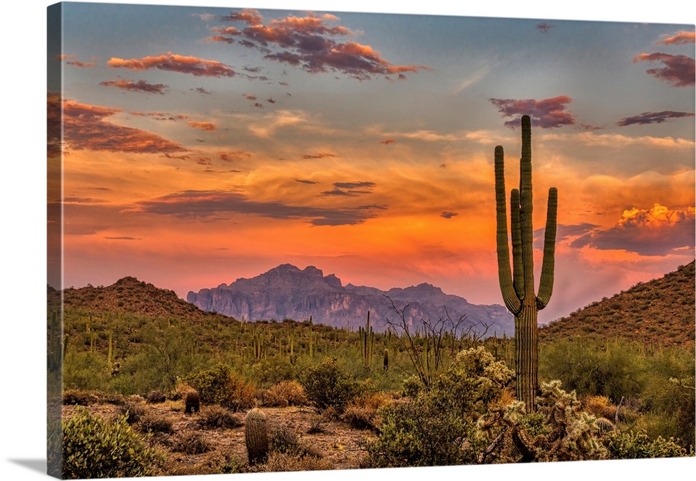 Sunset in the Sonoran Desert near Phoenix, Arizona.